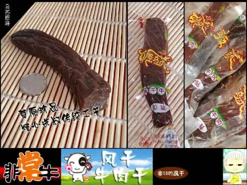 西北地区和青藏地区