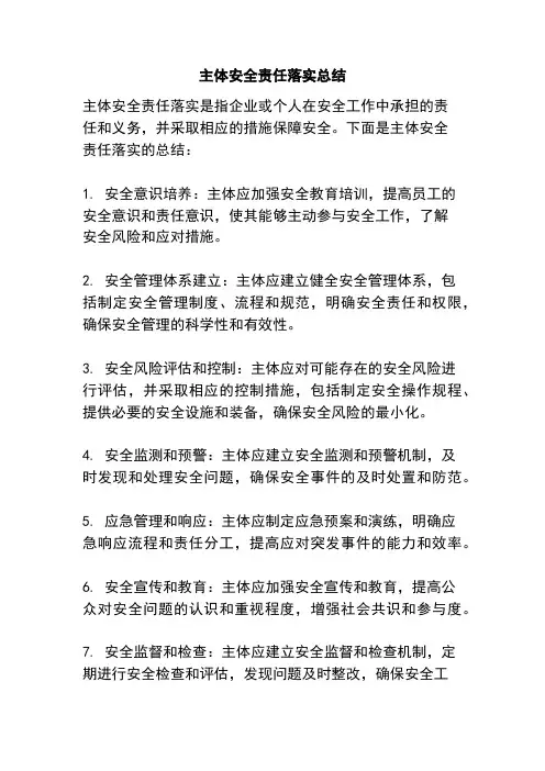主体安全责任落实总结