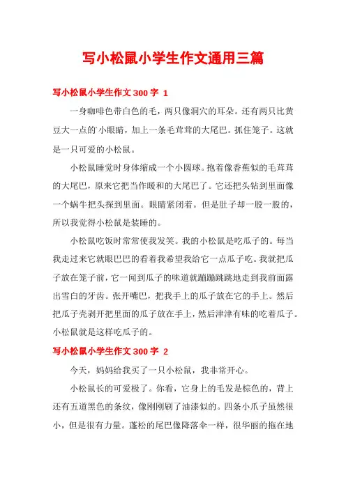 写小松鼠小学生作文通用三篇