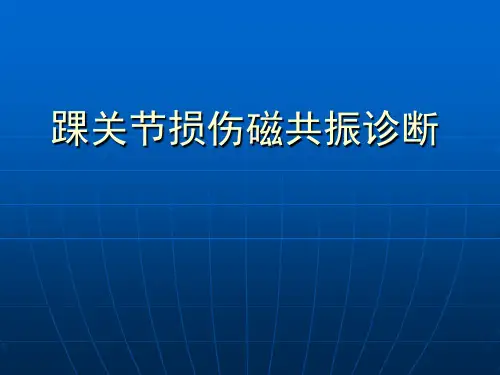 踝关节损伤磁共振诊断