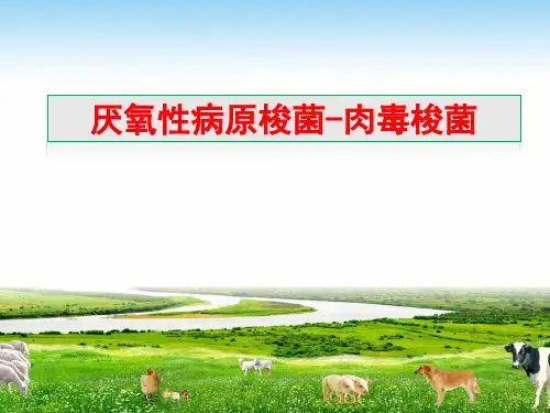厌氧性病原梭菌肉毒梭菌.ppt