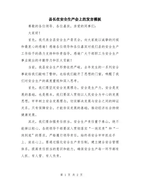 县长在安全生产会上的发言模板