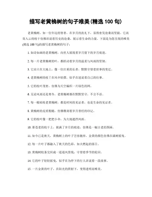 描写老黄桷树的句子唯美(精选100句)
