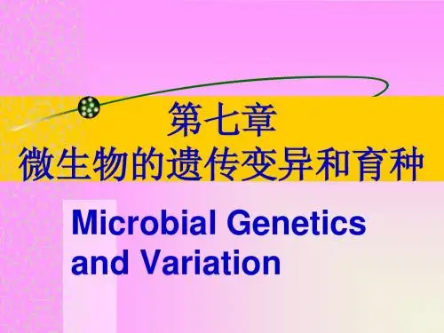 微生物的遗传变异和育种