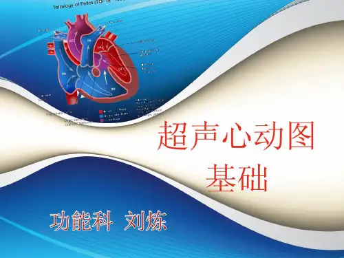 【炼】超声心动图基础