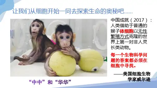 细胞是生命活动的基本单位课件(共30张PPT)(人教版2019必修1)
