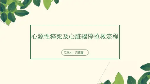 心脏骤停及心源性猝死抢救流程