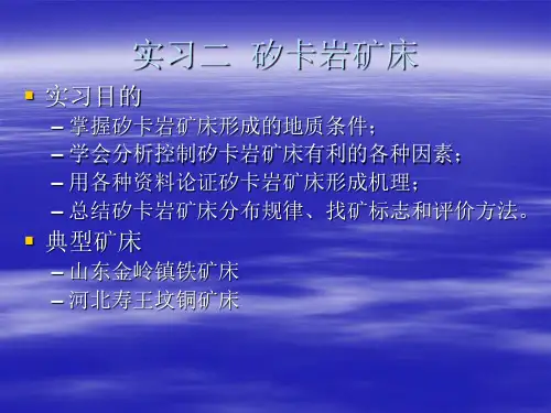 实习二讲义  矽卡岩型矿床