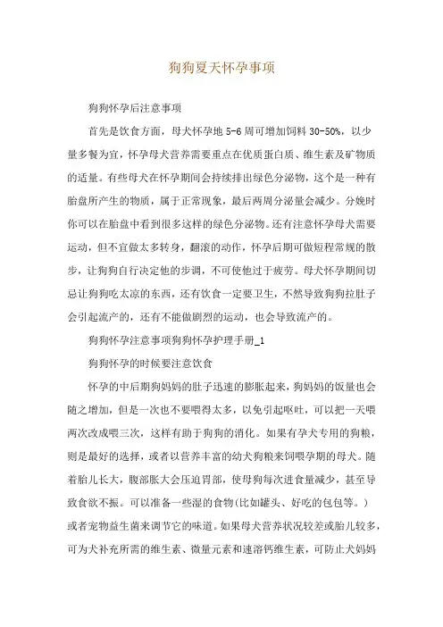 狗狗夏天怀孕事项