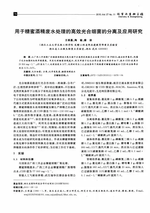 用于糖蜜酒精废水处理的高效光合细菌的分离及应用研究