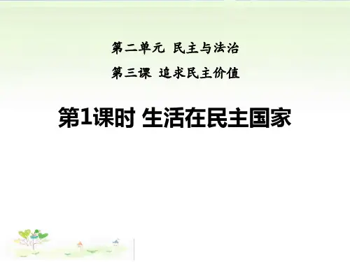 《生活在民主国家》追求民主价值PPT课件下载 图文