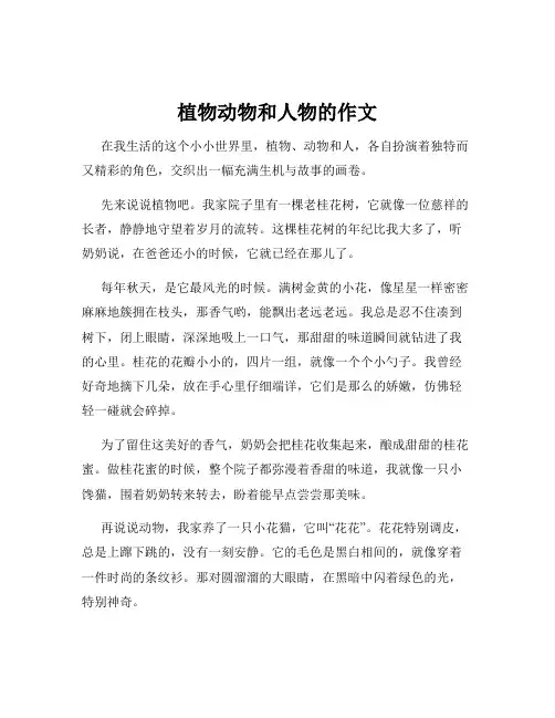 植物动物和人物的作文