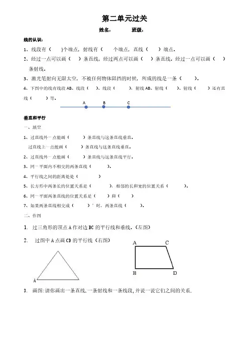 2023最新四年级上册《线与角》专题复习