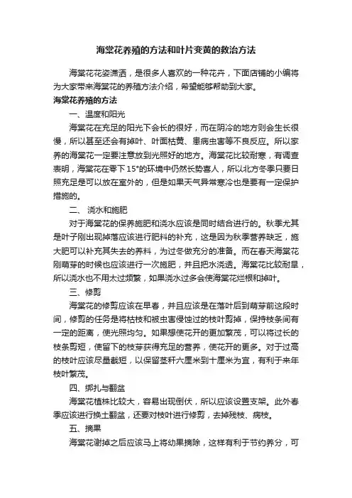 海棠花养殖的方法和叶片变黄的救治方法