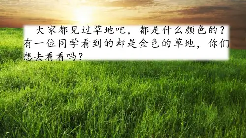 人教部编版三年级语文上册第16课金色的草地优秀课件