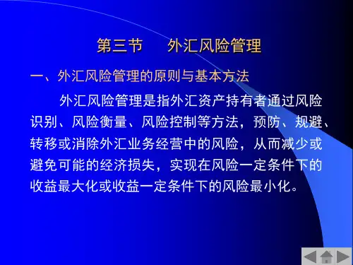 国际金融 第6章(3)