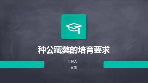 种公藏獒的培育要求