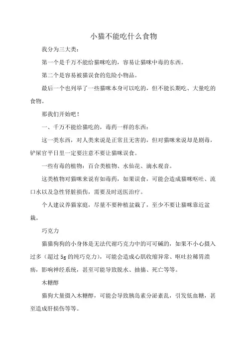 小猫不能吃什么食物