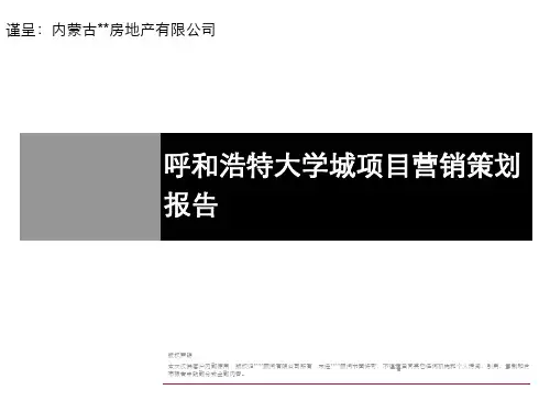 呼和浩特大学城项目营销策划深入报告