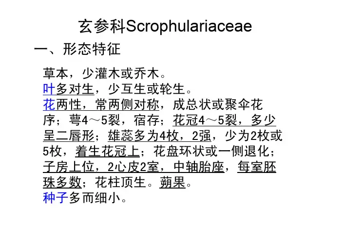 应用生药学课件各论第8次课-玄参科、地黄、玄参、桔梗科、桔梗、金银花