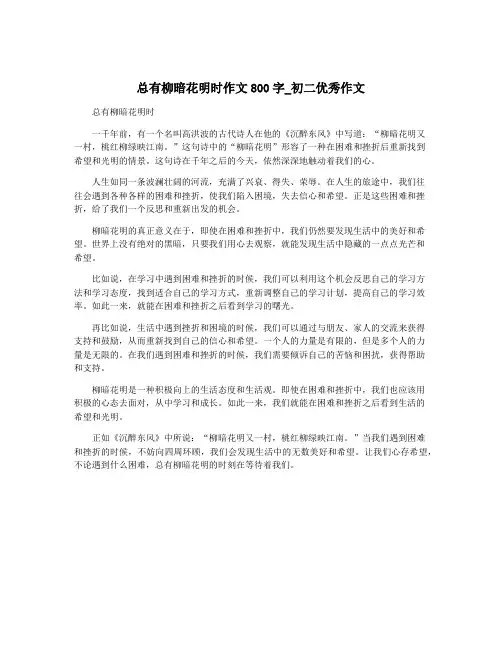 总有柳暗花明时作文800字_初二优秀作文