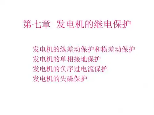 发电机的继电保护