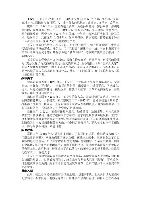 王安石  评论