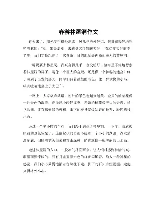 春游林屋洞作文