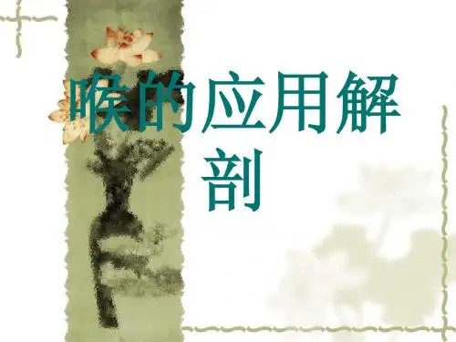 ENT解剖(喉)