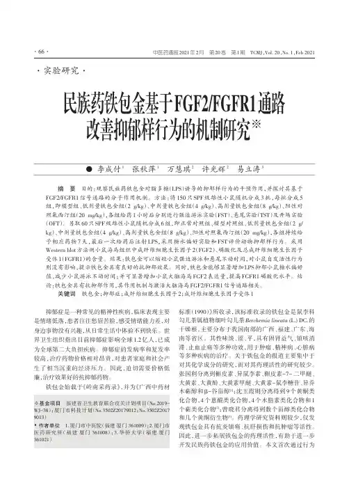 民族药铁包金基于FGF2FGFR1通路改善抑郁样行为的机制研究