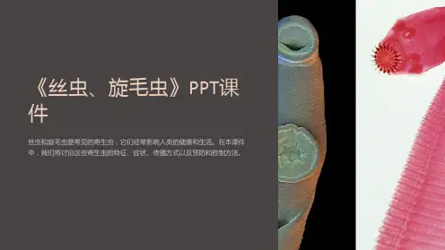 《丝虫、旋毛虫》课件