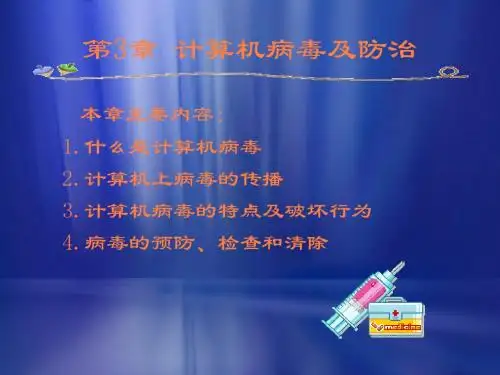 计算机病毒与防治PPT课件