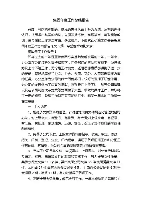 集团年度工作总结报告