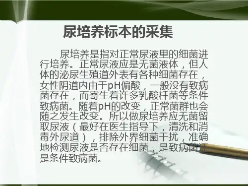 尿培养标本的采集ppt课件全