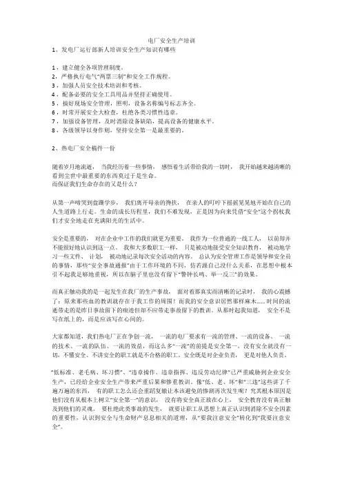 电厂安全生产培训安全生产