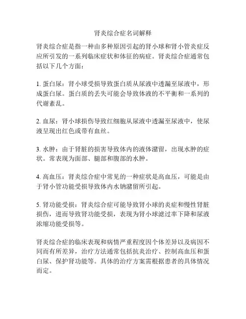 肾炎综合症名词解释