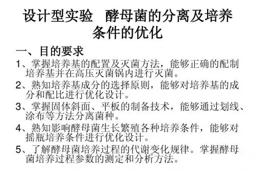 设计型实验   酵母菌