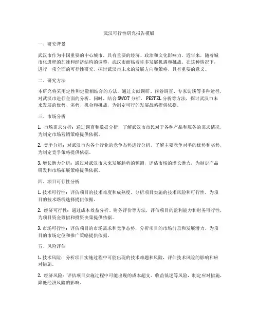 武汉可行性研究报告模版