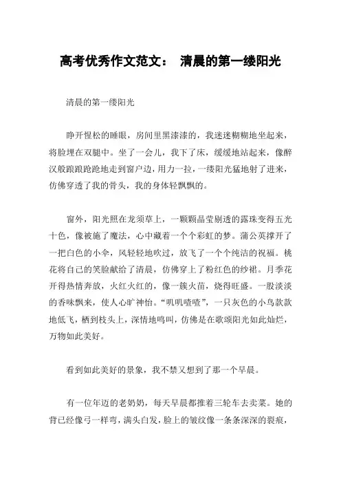 高考优秀作文范文： 清晨的第一缕阳光