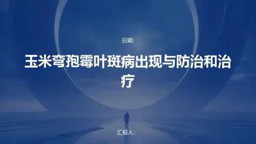 玉米弯孢霉叶斑病出现与防治和治疗