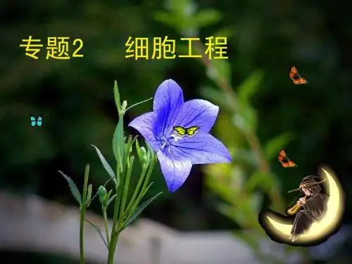 细胞工程复习课件一轮全