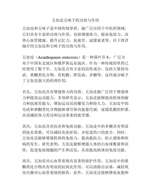 五加皮五味子的功效与作用
