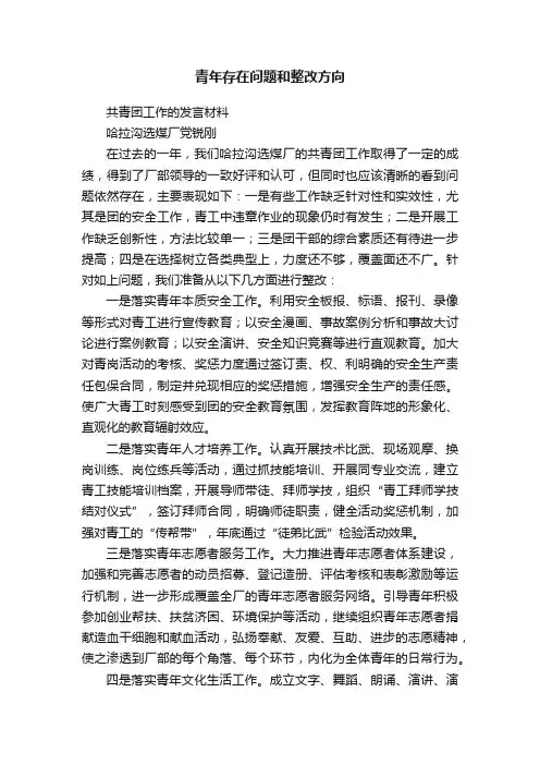 青年存在问题和整改方向