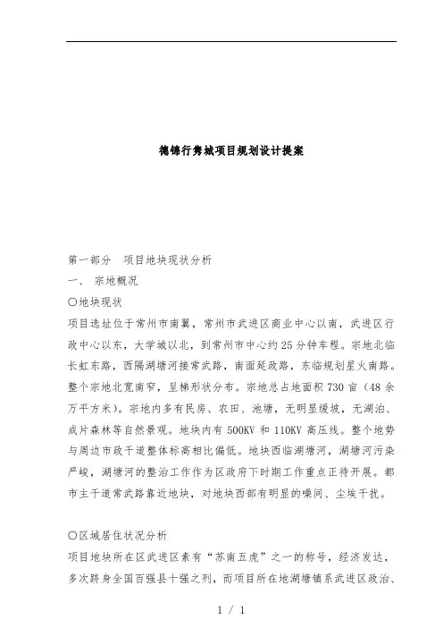 城区项目规划设计提案