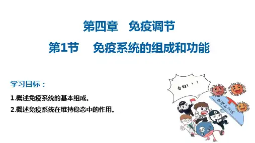 4.1免疫系统的组成和功能课件-高二上学期生物人教版选择性必修1