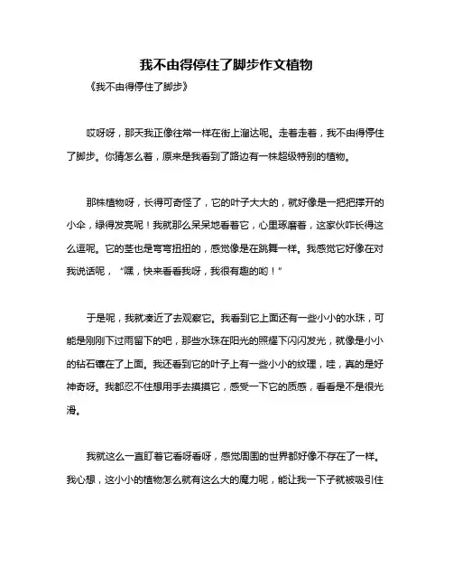 我不由得停住了脚步作文植物
