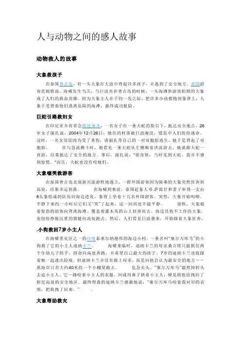 人与动物之间的感人故事