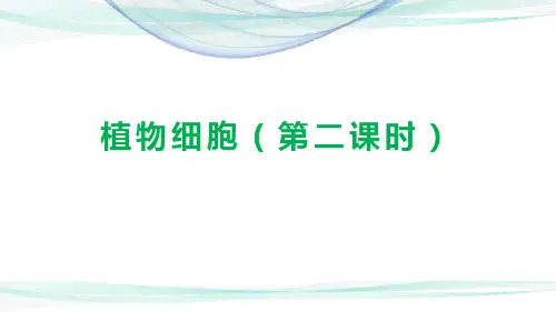 人教版七年级生物上册第二单元第一章第二节《植物细胞》(第二课时)(18张PPT课件)