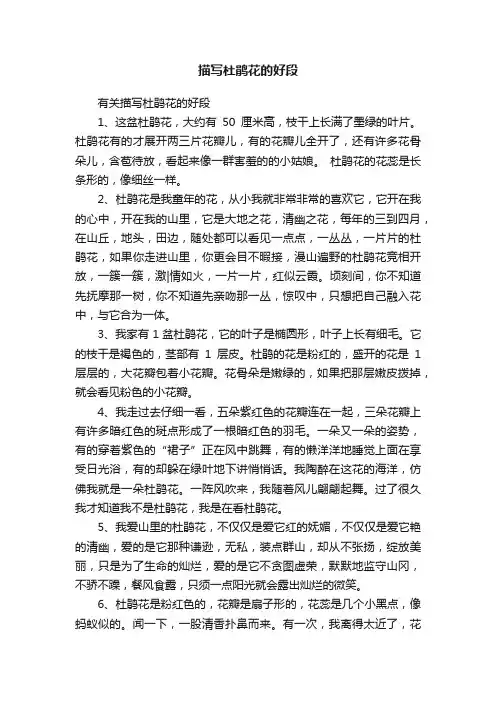 有关描写杜鹃花的好段