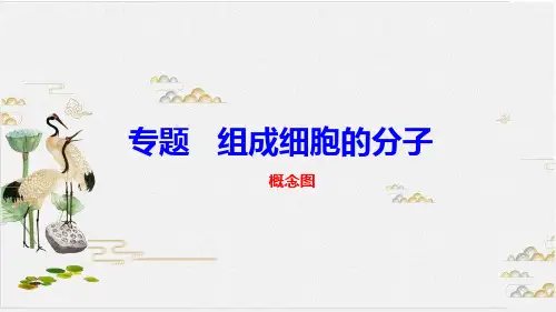 细胞的分子概念图 教学课件-PPT 高三高考生物一轮复习
